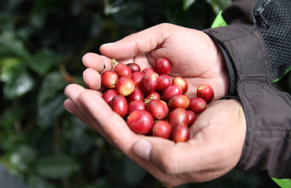 Responsible Sourcing
